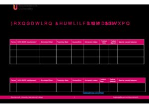 Bournemouth University International College Summary Sheet Autumn 2025