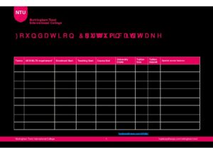 Nottingham Trent International College Summary Sheet Autumn 2025