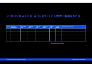 University of Brighton International College Summary Sheet Autumn 2025