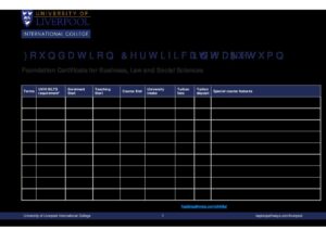 University of Liverpool International College Summary Sheet Autumn 2025