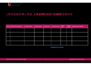 Bournemouth University International College Summary Sheet Summer 2025