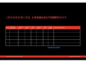 University of Essex International College Summary Sheet Spring 2025