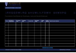 University of Liverpool International College Summary Sheet Autumn 2024