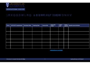 University of Liverpool International College Summary Sheet Summer 2025