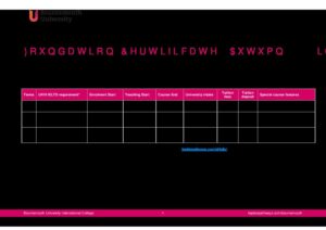 Bournemouth University International College Summary Sheet Autumn 2024