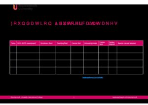 Bournemouth University International College Summary Sheet Summer 2025