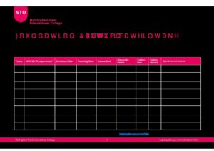 Nottingham Trent International College Summary Sheet Autumn 2024