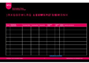 Nottingham Trent International College Summary Sheet Autumn 2025
