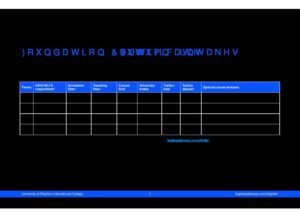 University of Brighton International College Summary Sheet Autumn 2024