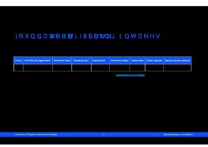 University of Brighton International College Summary Sheet Spring 2025