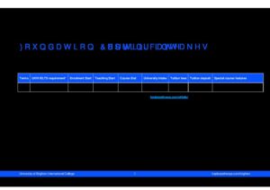 University of Brighton International College Summary Sheet Spring 2026