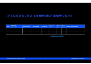 University of Brighton International College Summary Sheet Summer 2025