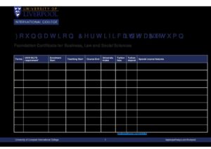 University of Liverpool International College Summary Sheet Autumn 2025