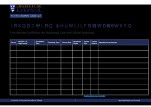 University of Liverpool International College Summary Sheet Autumn 2025