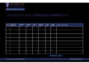 University of Liverpool International College Summary Sheet Spring 2025