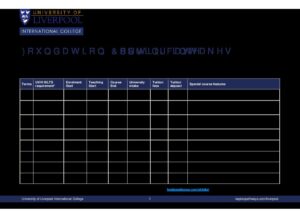 University of Liverpool International College Summary Sheet Spring 2026