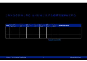 University of York International Pathway College Summary Sheet Autumn 2025