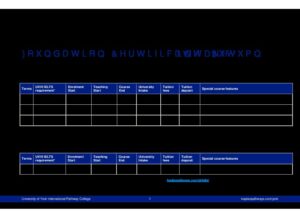 University of York International Pathway College Summary Sheet Autumn 2025