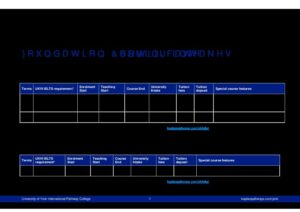 University of York International Pathway College Summary Sheet Spring 2026