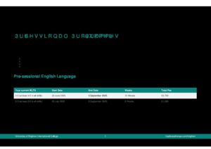 University of Brighton International College Pre Sessional Summary Sheet Summer 2025