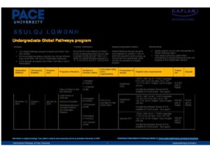 Pace University Summary Sheet Spring 2026