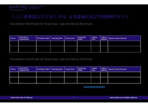 Digital Pathways Summary Sheet Spring 2027