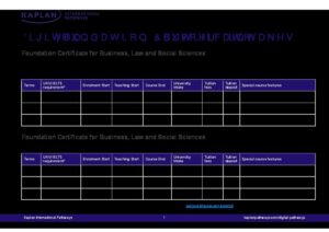 Digital Pathways Summary Sheet Summer 2027