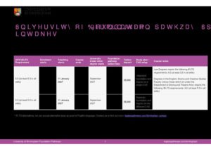 University of Birmingham Foundation Pathways Summary Sheet Spring 2027