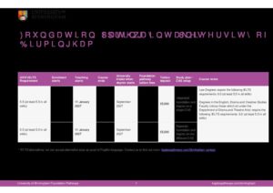 University of Birmingham Foundation Pathways Summary Sheet Spring 2027