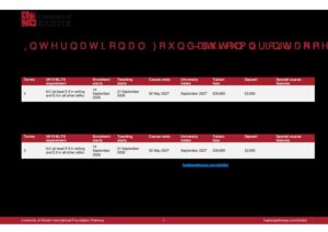 University of Bristol IFP Summary Sheet Autumn 2026