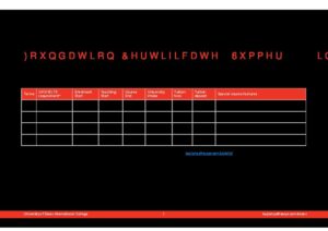 University of Essex International College Summary Sheet Summer 2028